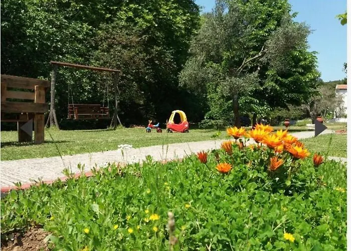 Aidonofolies Κουκουναριές