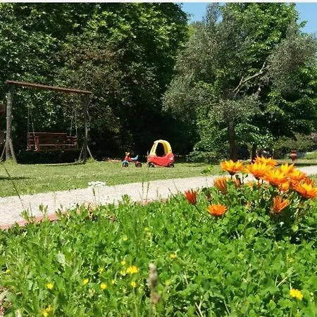 Aidonofolies Koukounaries